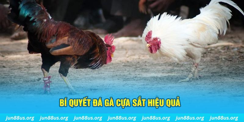 da ga 88 xổ số miền bắc thứ ba hàng tuần