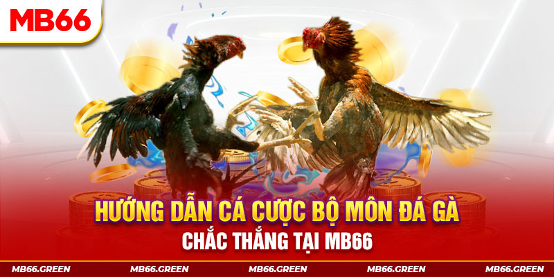 da ga 88 xổ số miền nam hôm nay
