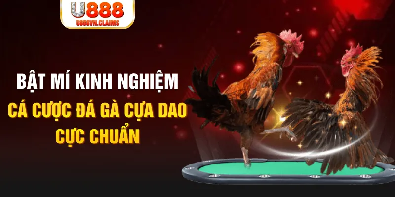 da ga 88 casino hồ tràm có cho người việt vào không