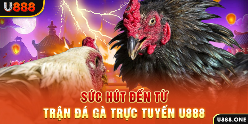 đăng nhập poker 2024