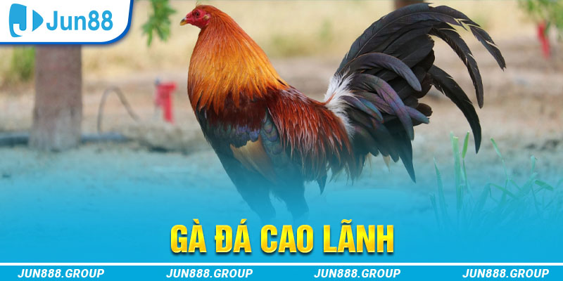 da ga 88 tai game vua bai ve may tinh