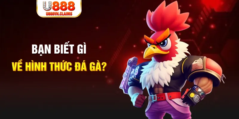 da ga 88 đăng nhập liêng tặng tiền
