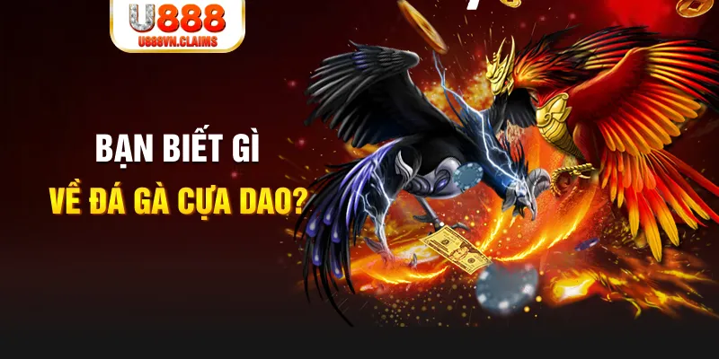 da ga 88 xo so mien bac