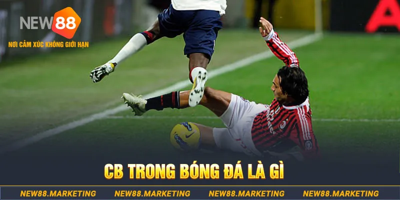da ga 88 DG Trực Tuyến