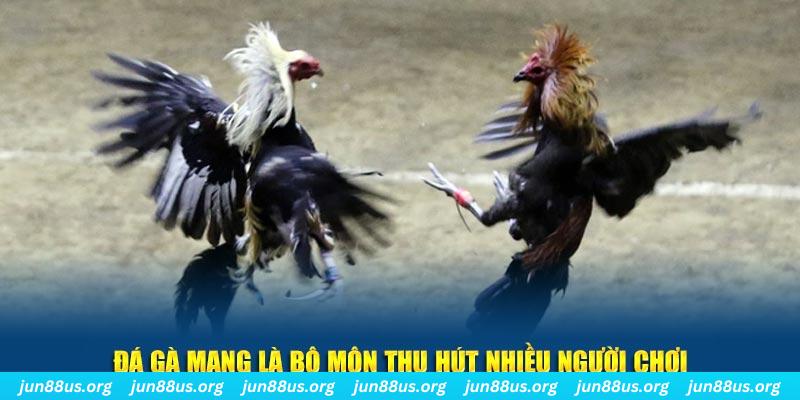 da ga 88 đăng nhập sòng bạc số 1