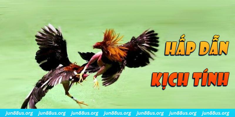 xổ số miền nam thứ sáu