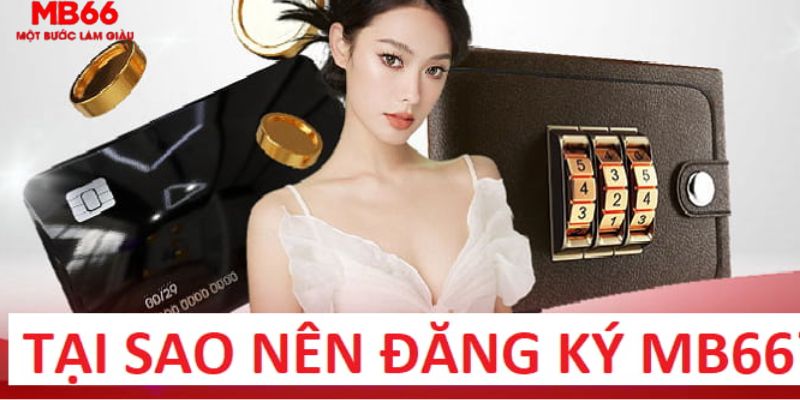 da ga 88 trực tiếp gà chọi c1