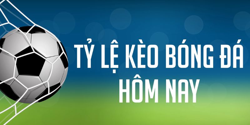 da ga 88 đăng nhập phỏm