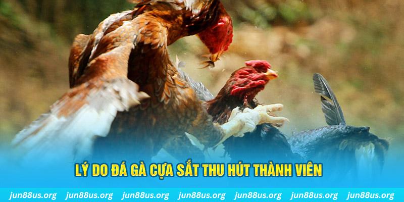 da ga 88 nổ hũ ăn bao nhiêu
