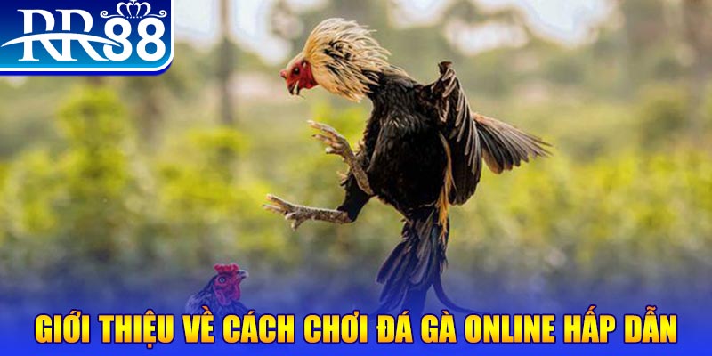da ga 88 EvoPlay Điện Tử