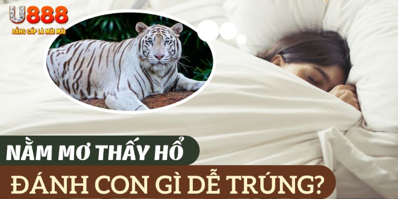 da ga 88 nohu .mx nổ hủ là gì