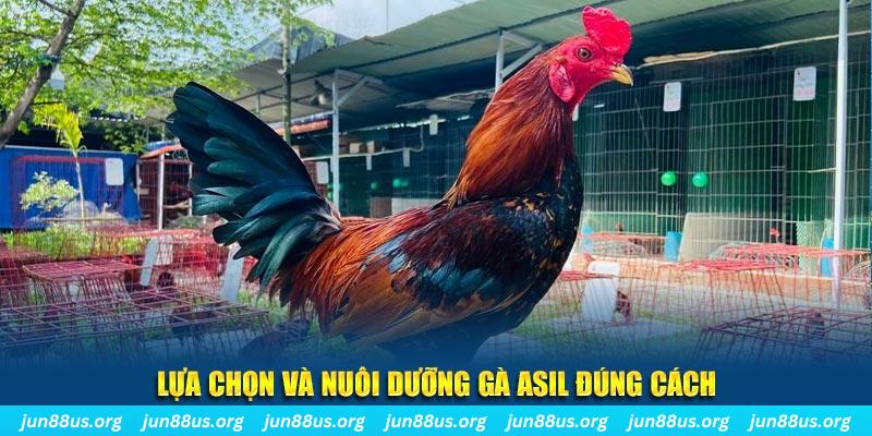 da ga 88 nổ hũ thần tài là gì