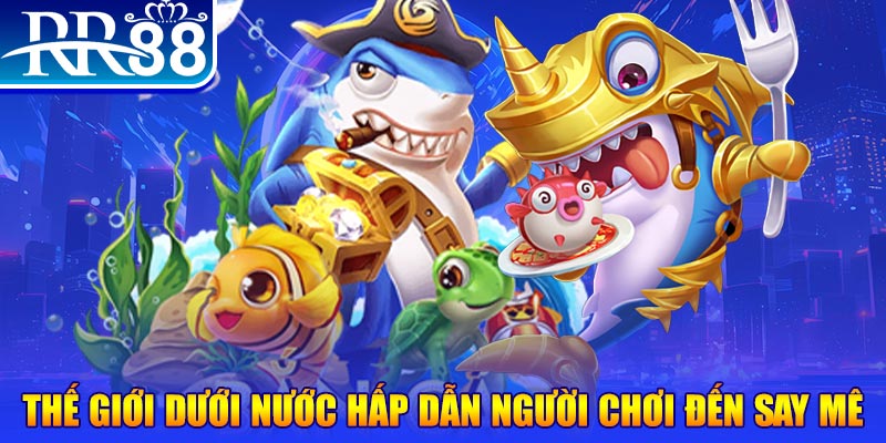 da ga 88 đăng nhập mậu binh dễ thắng