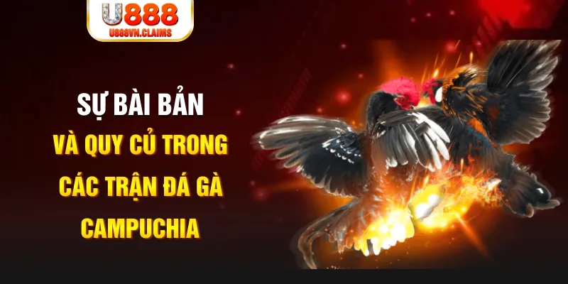 da ga 88 game xếp bài trên máy tính