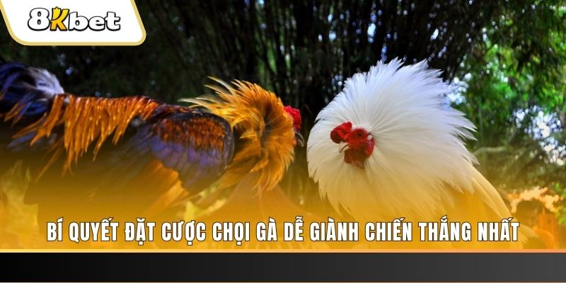 da ga 88 nổ hũ chơi như thế nào