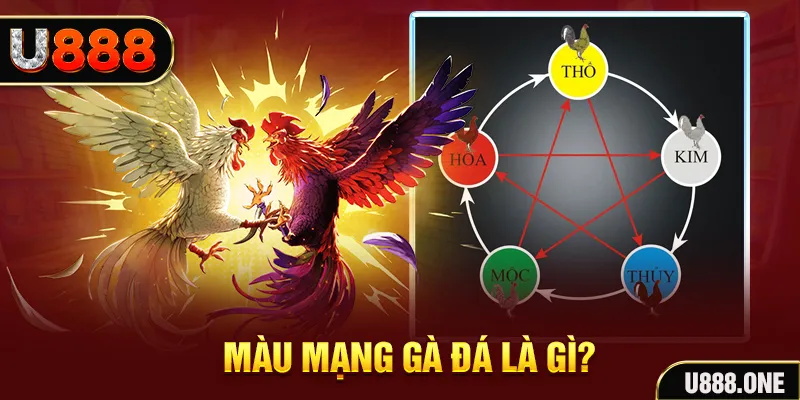 da ga 88 V8 Game Bài 3d