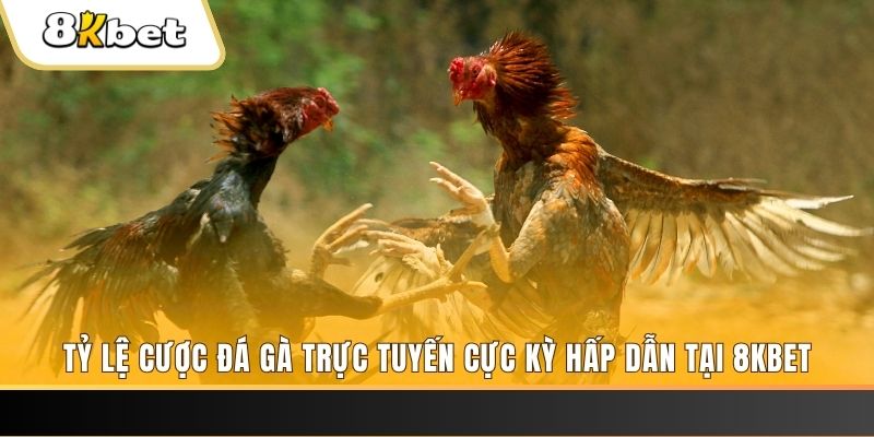 da ga 88 xổ số miền bắc chủ nhật